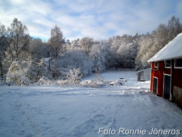 Vinter i Paradiset